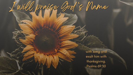 I Will Praise God's Name
