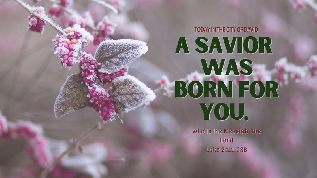 A Savior Was Born!